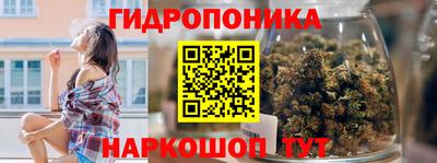 шишки Аргун