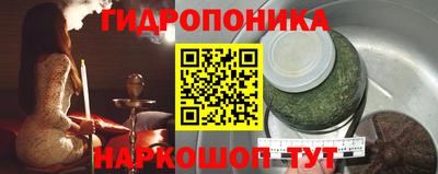 шишки Аргун