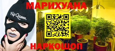 шишки Аргун