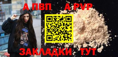 шишки Аргун