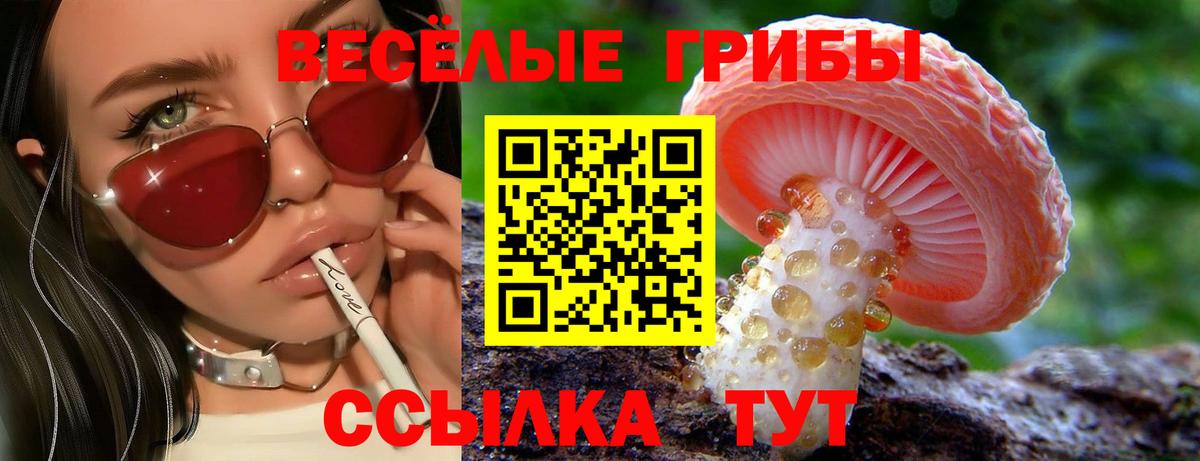 Бахчисарай  Псилоцибиновые грибы ЛСД  Вход с VPN  Псилоцибиновые грибы Magic Shrooms 
